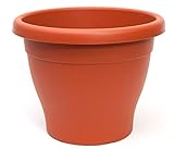 PAMEX Maceta Mediterranea (40cm)