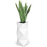 Forvega, Astı, Jardinera Alta sin Estante, diseño Moderno, Duradero, Resistente a Las heladas y a los Rayos UV, Polietileno, Blanco, 78 cm