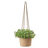 Cesta Jardinera Colgante Cuerda Canasta Plantas Con Cuerda Algodón Tejida Jardinera Techo Florero Cuerda Algodón Decoración Interiores Exteriores Maceta Paja Macetas Hierbas Marinas Naturales 14cm