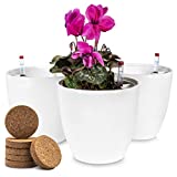 Macetas con Sistema Autorriego (3 Macetas) Zenakio I Blanco I Maceta Autorriego 18CM Ronda I Interiores y Exterior