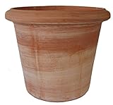 Siena Conca Liscia XXL - Maceta (terracota, resistente a heladas, 2,70 cm)