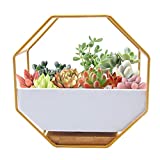 O'woda Macetas Colgantes de Cerámica, Metal Macetas Pared, con Orificio de Drenaje y Plato de Bambú, Decoración para Casa, Jardin, Sala de Estar y Boda (17.7 * 17.7cm, Dorado)