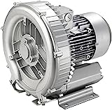 Bomba Soplante Monofásica, Bomba de Agua para Piscina y Jacuzzi, Depuradora Piscina (2cv)
