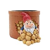 Angel&J Maceta de resina de cerÃ¡mica con diseÃ±o de enanitos de cactus personalidad, ornamentos de jardÃ­n, figuras decorativas para el hogar, la oficina, el balcÃ³n a Talla Ãºnica