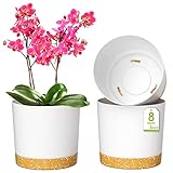 ZMTECH Macetas, 3 Piezas De Plástico De 20 cm con Agujero De Drenaje y Platillo, Maceta Decorativa Moderna para Plantas De Interior, Suculentas y Flores - Blanco