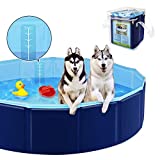 YAOBLUESEA Piscina para Perros, Plegable PVC Piscina Bañera para Gatos Animales Bebes Rigida, Adecuado para Interior y Exterior (80x20cm)