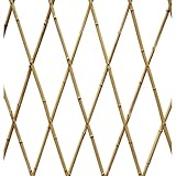 Celosía Bambú Extensible Natural - Faura 120x240cm