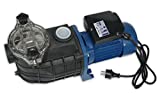 Productos QP 500568M Bravia - Bomba Monofasica Centrífuga Autoaspirante para Piscina, Prefiltro de Seguridad, 1 HP