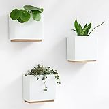 Kazai. Jardineras de Pared -Alma- | 3 Macetas Colgantes Modernas de Resina | Set de Porta Plantas para Plantas de Interior, Plantas Artificiales y más | Blanco