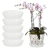 5 Macetas de Orquídeas, Macetas de Plástico para Orquídeas con Agujeros de Drenaje, Macetas de Plástico para Plantas de Flores, Macetas de Orquídeas Transparentes para(bandeja de 6/7 pulgadas)