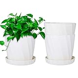 Viesap Macetas para Flores, 3 PCS 13.5 CM Grande Maceta De Plastico con Agujero De Drenaje, Macetas De Blanco con Forma De Flor para Interior Oficina con Paletas/Bandejas para DecoracióN del Hogar.