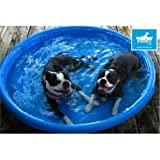 Piscina para Perros Pequeña (90X90X18)