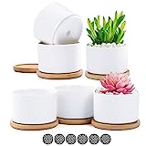 Coolty 6pcs Mini Maceta Suculenta de Cerámica Blanco Cactus Suculentos Bonsái Maceta con Bandeja de Bambú y Almohadilla de Malla para Decoración del Hogar y la Oficina Regalo, 8CM