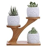 Fegalop Macetas de cerámica para plantas suculentas, cactus, con agujero de drenaje, diseño de búho, mini macetas con soporte de bambú, 3 unidades, decoración moderna para el hogar y la oficina