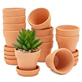 Macetas pequeñas de terracota con Platillo - Paquete de 12 macetas de arcilla con plato, 7 cm x 6,5 xm
