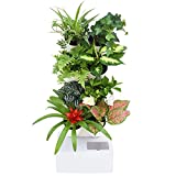 Yajun Maceta de Planta de Riego Automático Interior Jardinera de Flores Vertical Inteligente 4 Piso Sistemas Hidropónicos de Jardín de Plástico Temporizadores Automática Bonsái,White,63 * 26 * 24cm