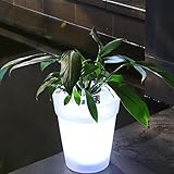 Iluminado Maceta Macetero con LED Iluminación Solar Flor Transparente Macetero Luz Lámpara Decorativo Luz Moderno Tiesto Jarrón Paisaje para Escritorio Jardín Yarda - Blanco, Free Size