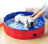 SMELL & SMILE Piscina Perros y Gatos Bañera Plegable PVC Antideslizante y Resistente al Desgaste Piscina Plegable para Perros Gatos Bañera Piscina Portátil para Mascotas (M 80 * 20CM)