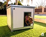 DHOUSE Caseta de Perro Master 95, 95x85x80cm