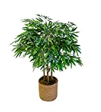 Maia Shop Bambú Cañas Naturales, Ideal para Decoración de Hogar, Planta, Árbol Artificial (105 cm)