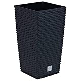Macetero de ratán Prosperplast 26.6 L Sembradora de antracita Interior exterior con caja interior resistente a la intemperie, negro, 26.5 x 26.5 x 50 cm, DRTS265-S433